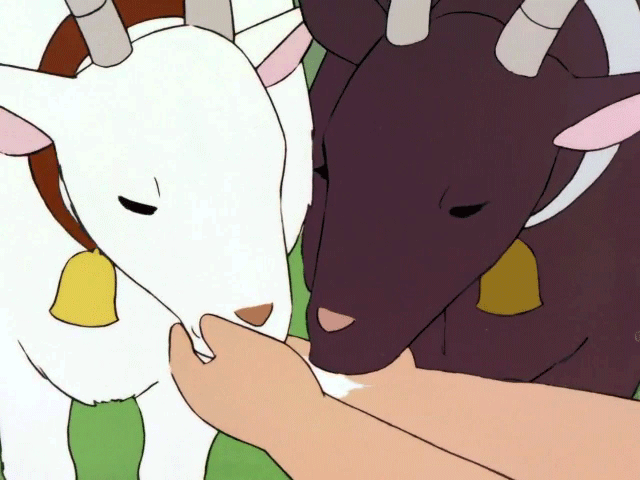 Blanquita y Diana toman sal de las manos de Heidi.