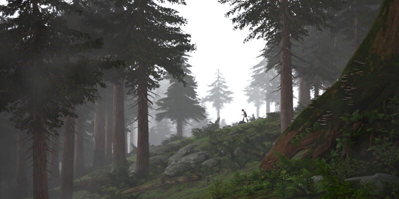 Bosques de Isla Mema