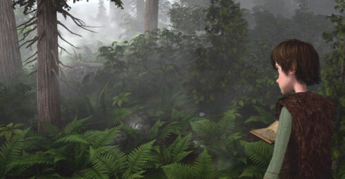 Helechos en el sotobosque
