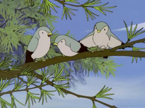 Pájaros en la rama de un abeto.
